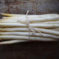 White Asparagus with Vinaigrette